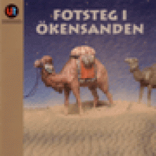 Utbildningsradion : Fotsteg i sanden Utbildningsradion : Fotsteg i sanden