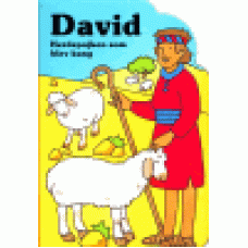 Dowley, Tim : David - herdepojken som blev kung