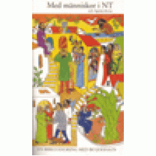 Johnson, Bo : Med människor i NT