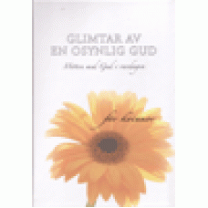 Kuyper, Vicky och Stephen Parolini : Glimtar av en osynlig Gud - för kvinnor