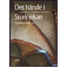 Krook, Caroline (red.) : Det hände i Storkyrkan