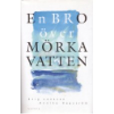 Jonsson, Stig & Annika Hagström : En bro över mörka vatten Jonsson, Stig & Annika Hagström : En bro över mörka vatten