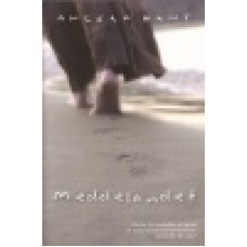 Hunt, Angela : Meddelandet