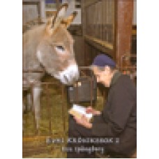 Spångberg, Eva : Evas krönikebok 2