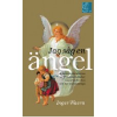 Waern, Inger : Jag såg en ängel