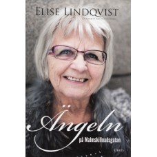 Lindqvist, Elise : Ängeln på Malmskillnadsgatan