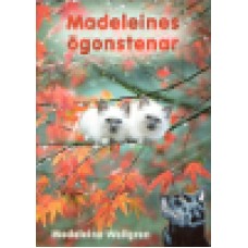Wallgren, Madeleine : Madeleines ögonstenar
