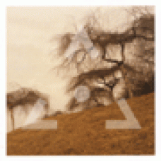 Lovetree : Mountaineer Lovetree : Mountaineer