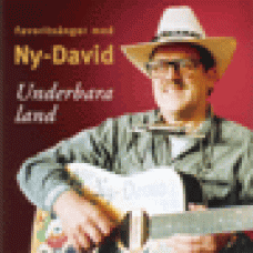 Ny-David : Underbara land